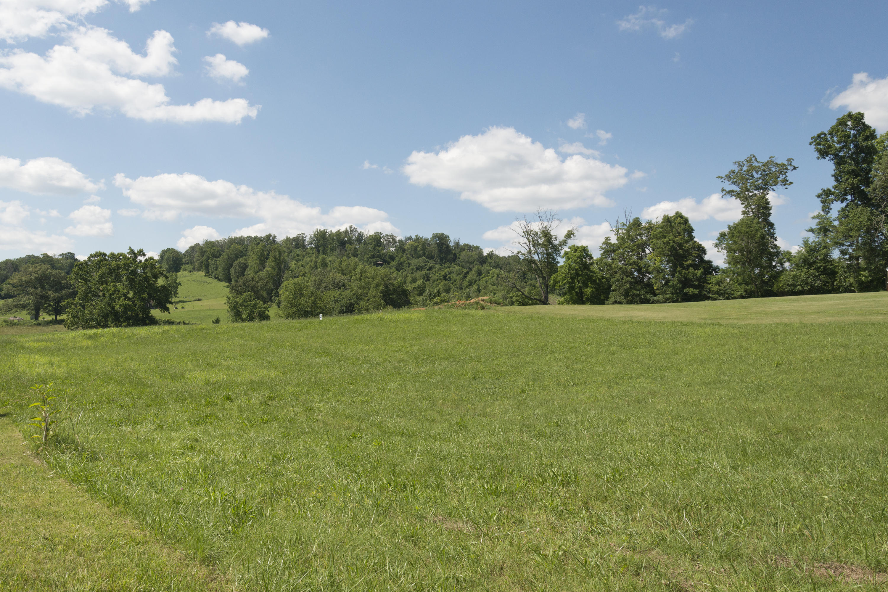 Stone Road Blaine, TN 37709 - Photo 3 of 14 RiverStone_0532