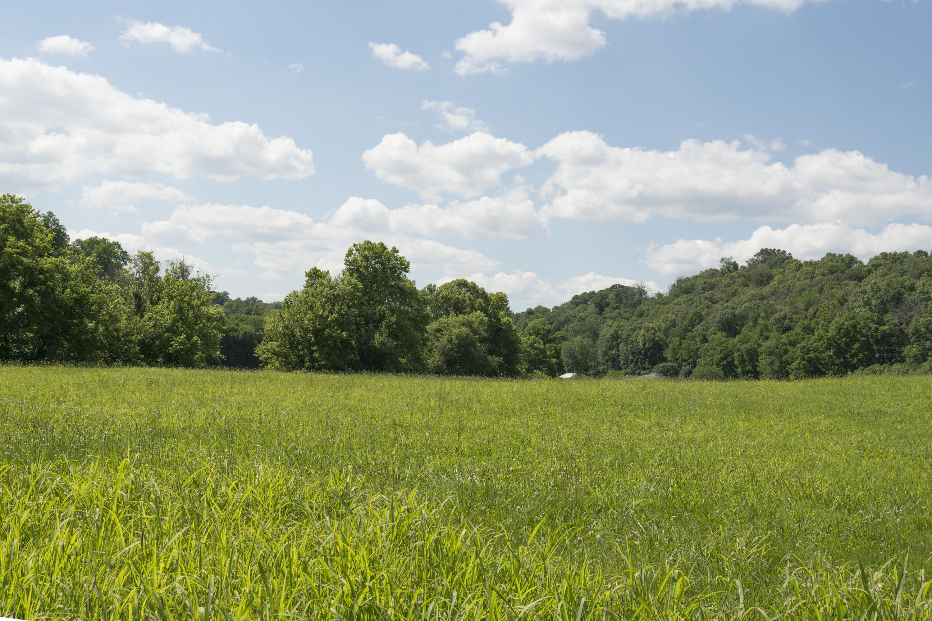 Stone Road Blaine, TN 37709 - Photo 4 of 14 RiverStone_0523