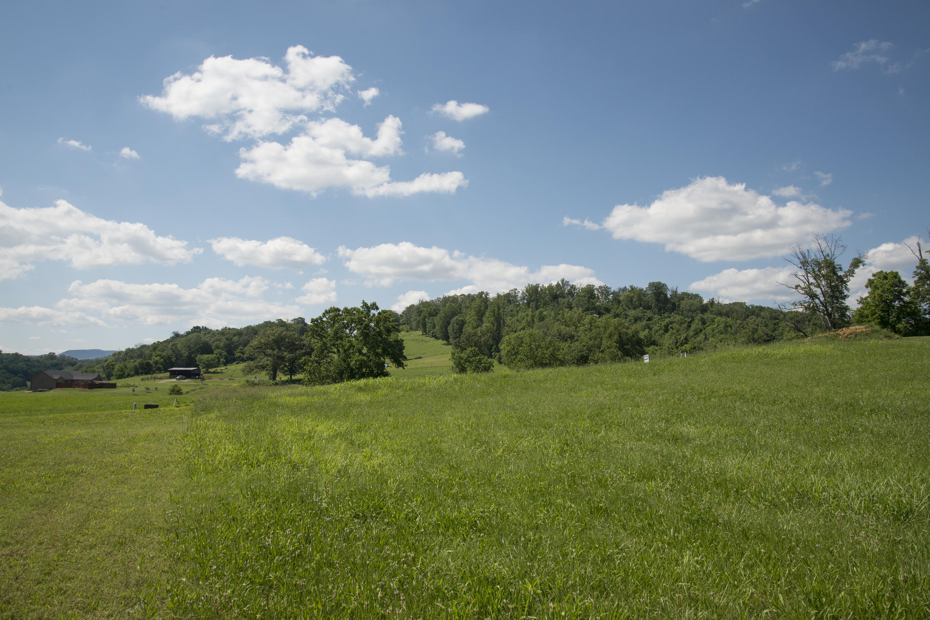 Stone Road Blaine, TN 37709 - Photo 5 of 14 RiverStone_0534