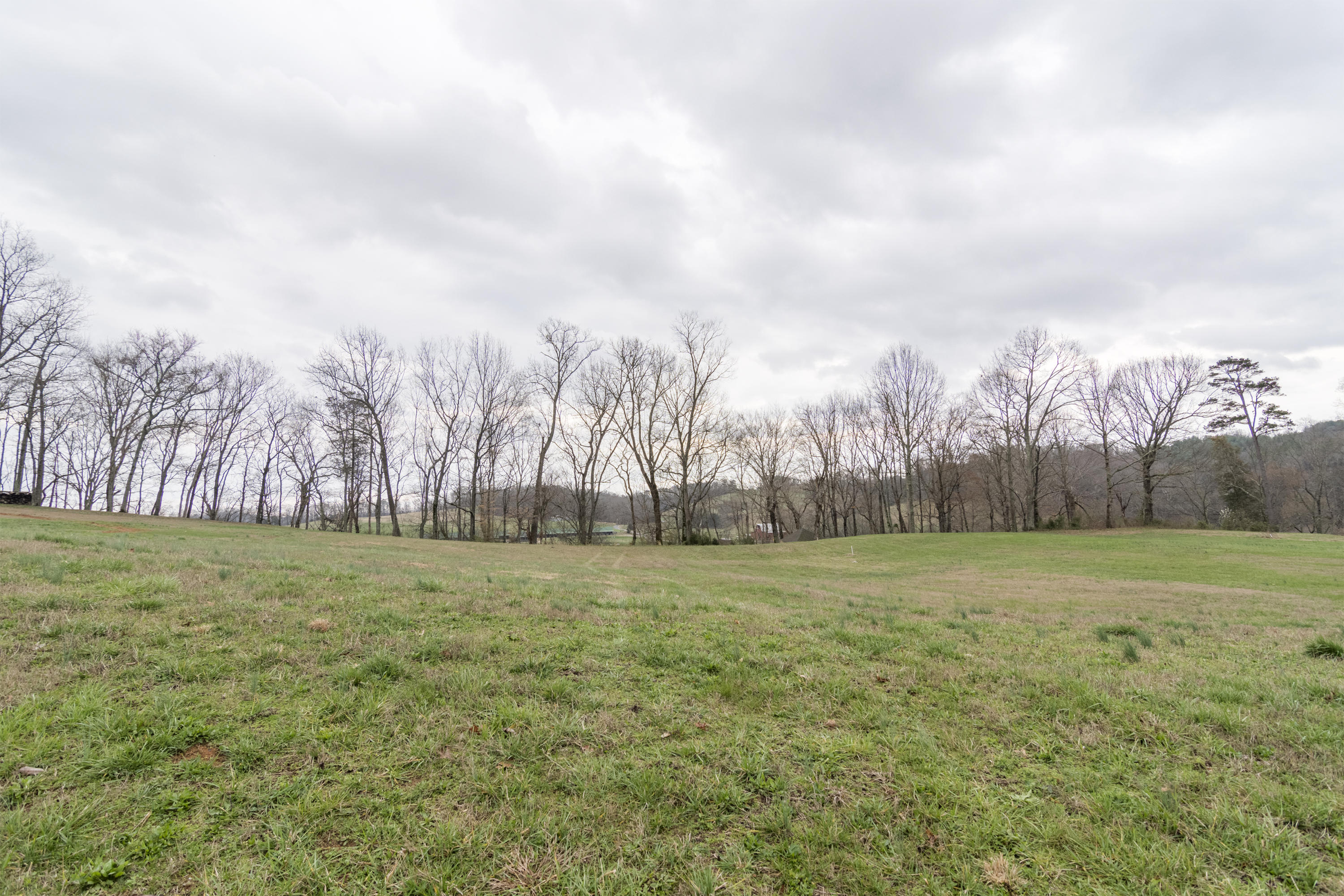 Stone Road Blaine, TN 37709 - Photo 6 of 14 River Stone_008