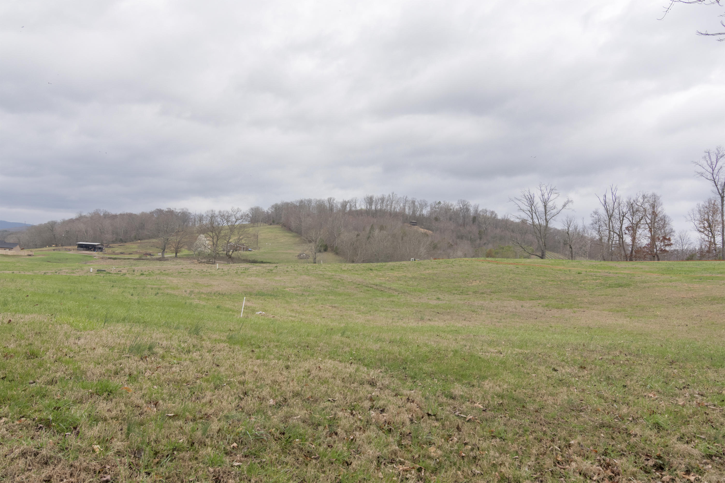 Stone Road Blaine, TN 37709 - Photo 7 of 14 River Stone_006