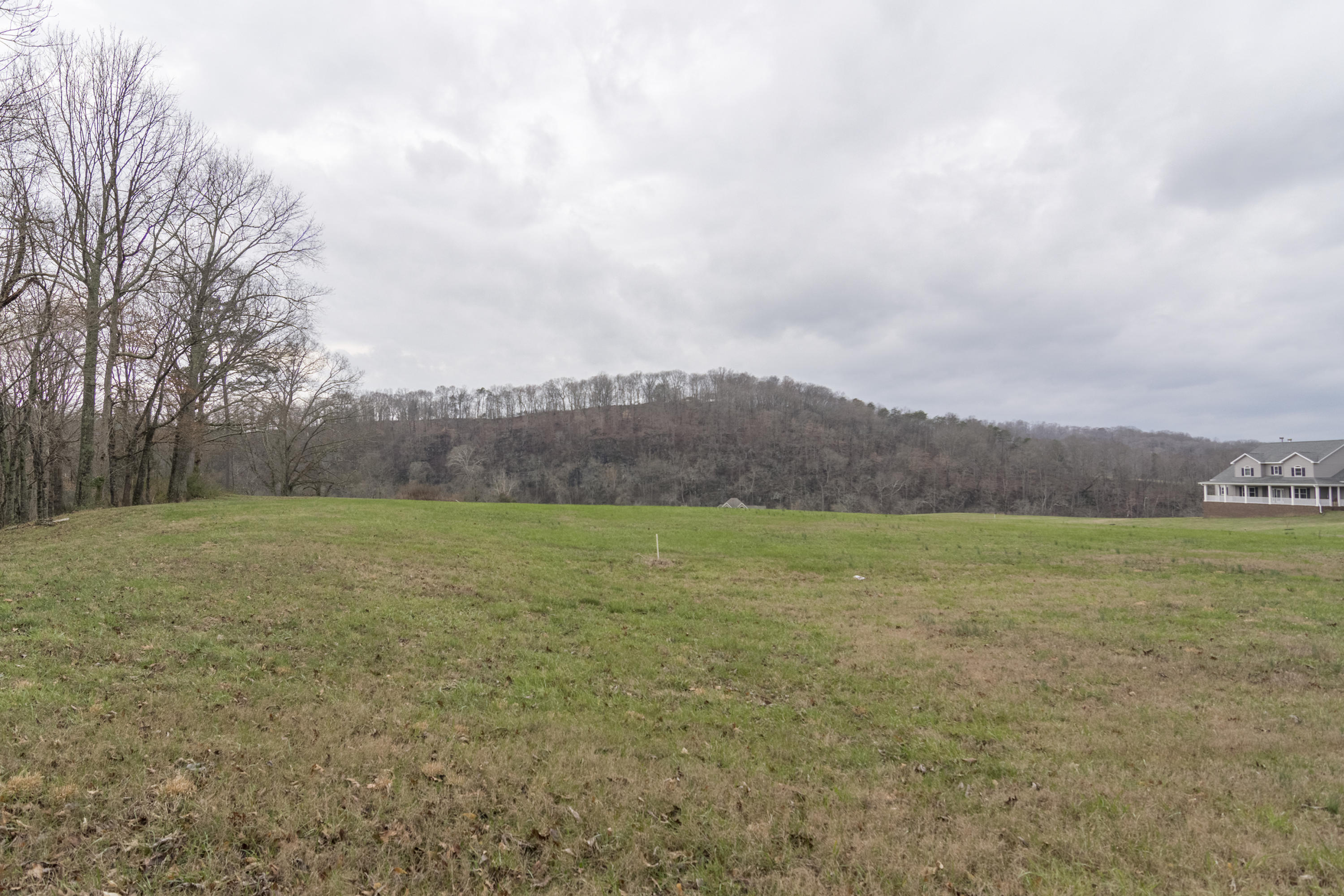 Stone Road Blaine, TN 37709 - Photo 8 of 14 River Stone_003