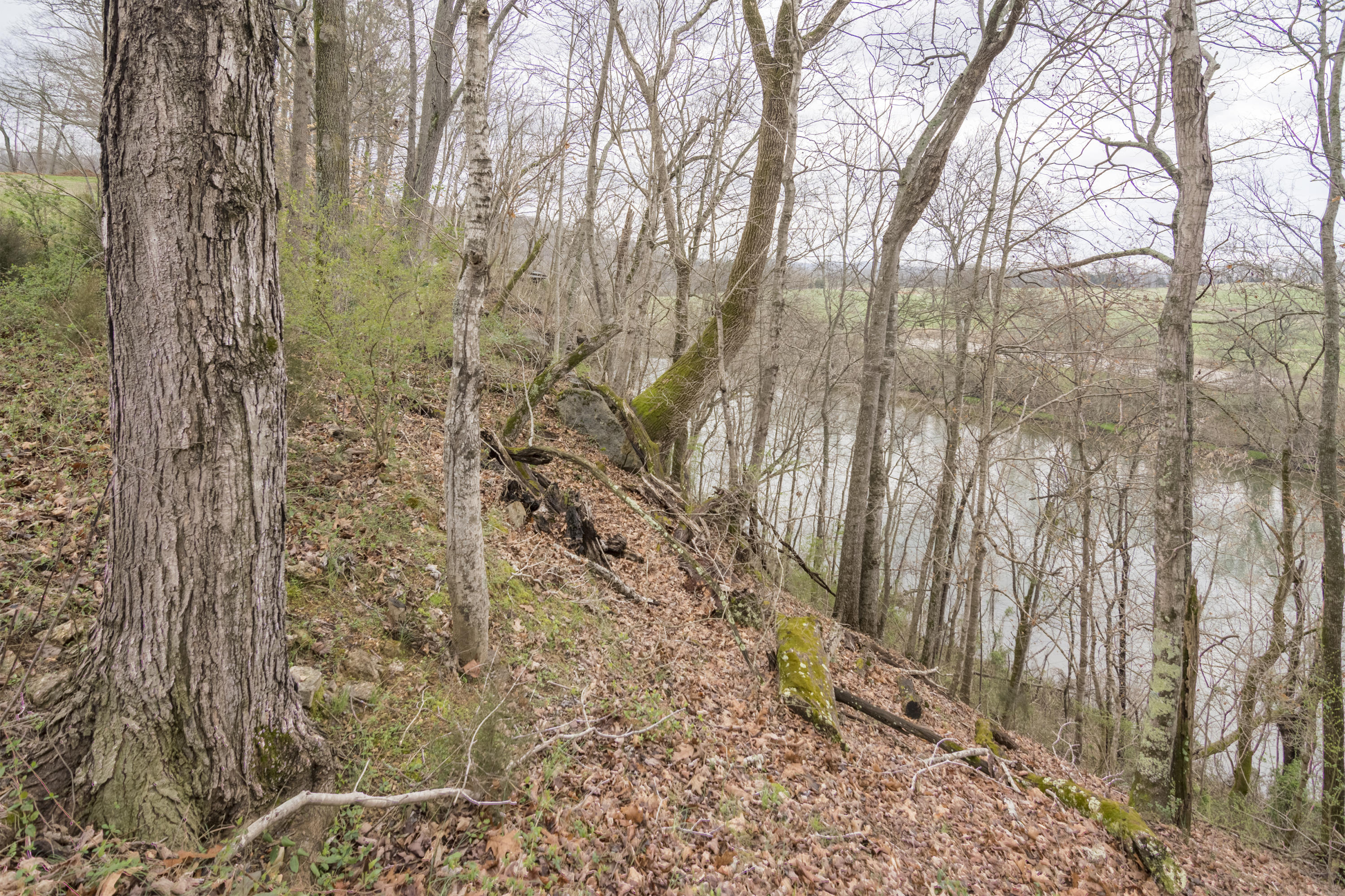 Stone Road Blaine, TN 37709 - Photo 9 of 14 River Stone_005