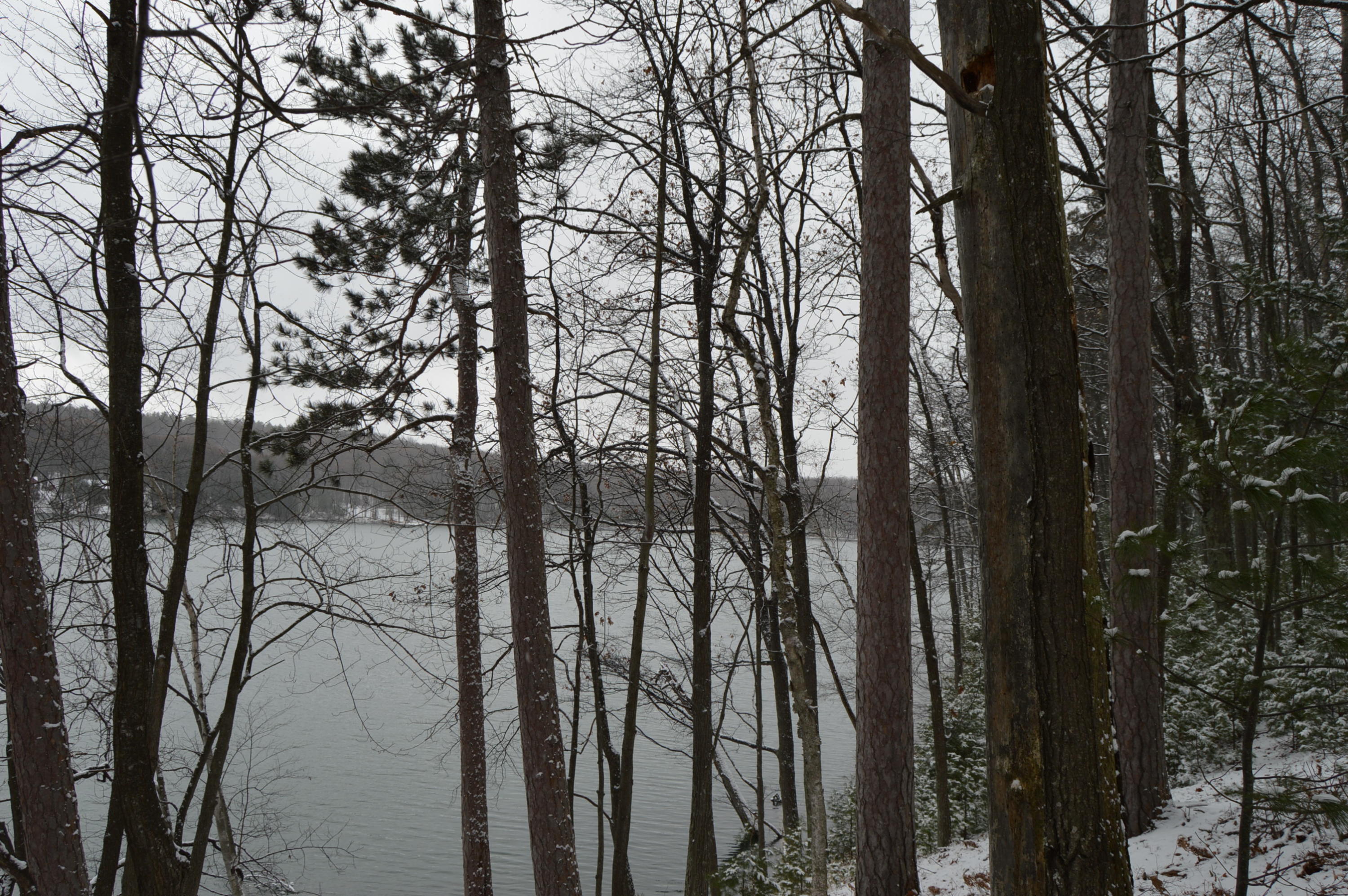 253 Loon Lake Loop Road Rose City, MI 48654 - Photo 10 of 17 Gallery Image 10