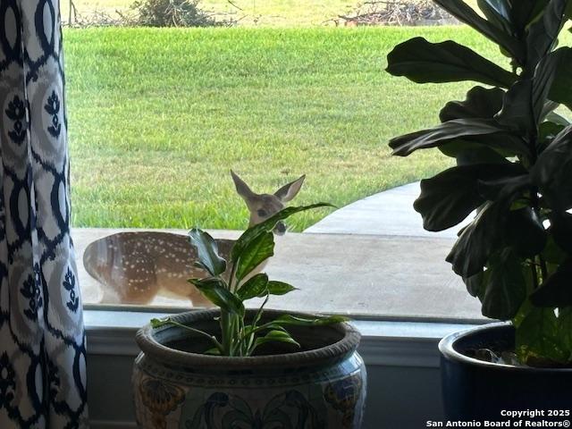 400 North Chaparral Burnet, TX 78611 - Photo 17 of 24 a vase of flowers sitting on a table with chairs