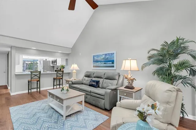 a living room with furniture a rug and a potted plant