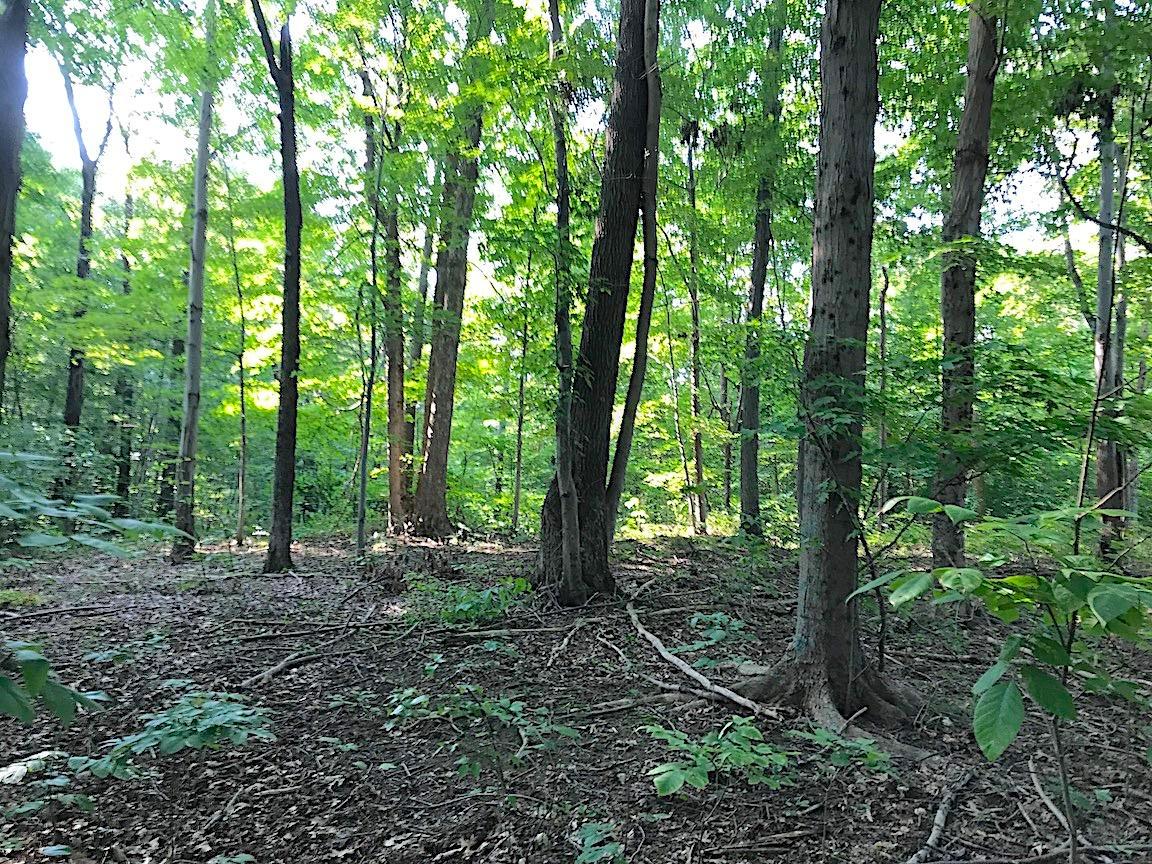 3774 Long Lick Road Blue Creek, OH 45616 - Photo 13 of 28 Gallery Image 13