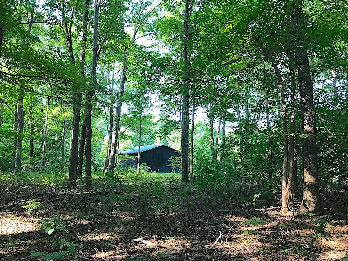 3774 Long Lick Road Blue Creek, OH 45616 - Photo 14 of 28 Gallery Image 14