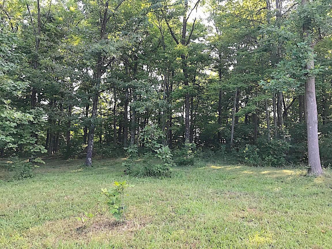 3774 Long Lick Road Blue Creek, OH 45616 - Photo 15 of 28 Gallery Image 15