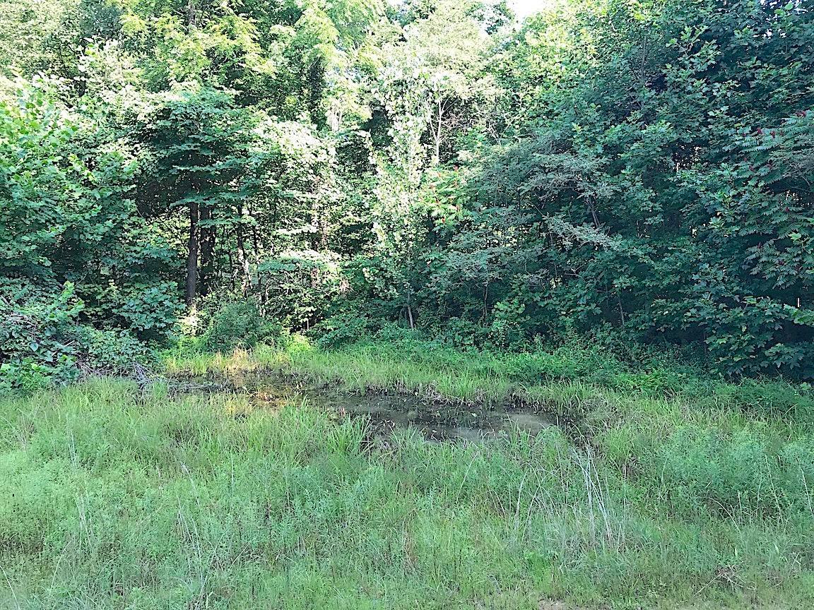 3774 Long Lick Road Blue Creek, OH 45616 - Photo 16 of 28 Gallery Image 16