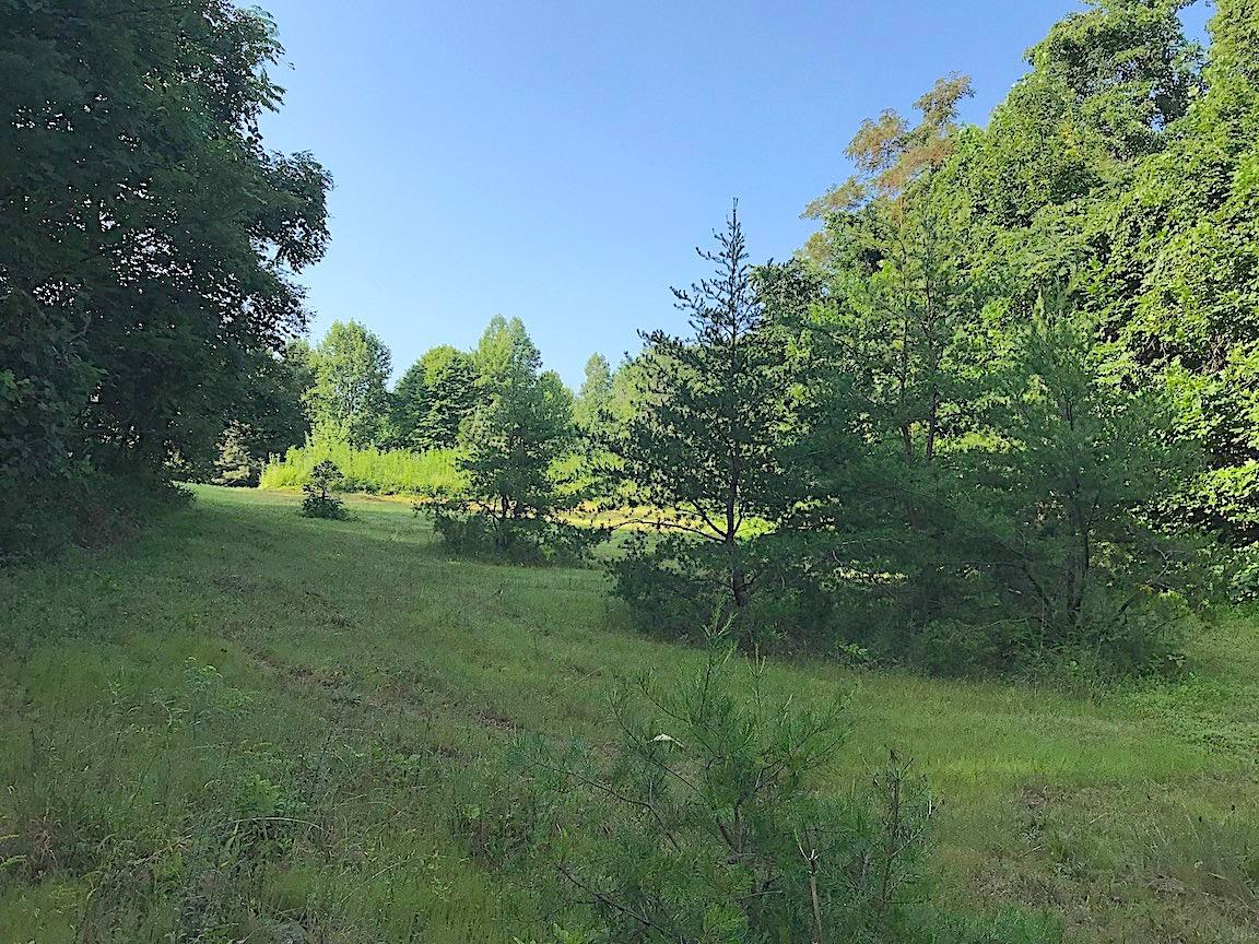 3774 Long Lick Road Blue Creek, OH 45616 - Photo 17 of 28 Gallery Image 17
