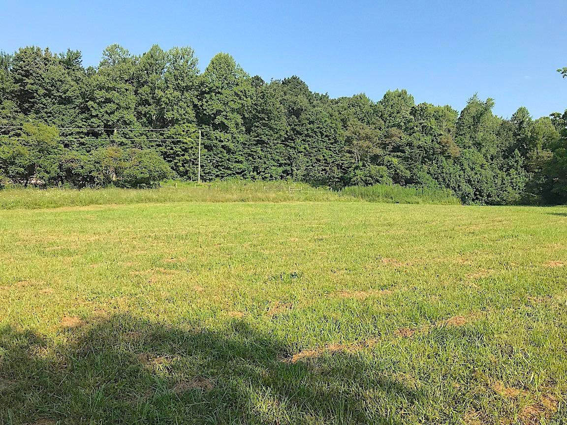 3774 Long Lick Road Blue Creek, OH 45616 - Photo 18 of 28 Gallery Image 18