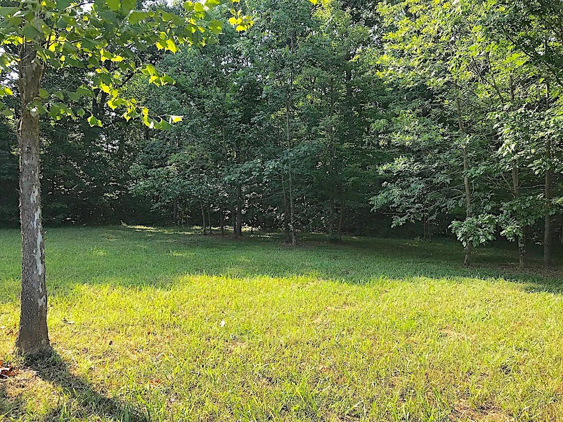 3774 Long Lick Road Blue Creek, OH 45616 - Photo 20 of 28 Gallery Image 20