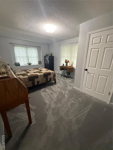 $398,500 | 12187 Pike 162, Louisiana, MO 63353