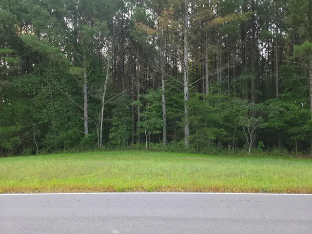 $68,000 | 0 Brown Trace Road, South Pittsburg, TN 37380