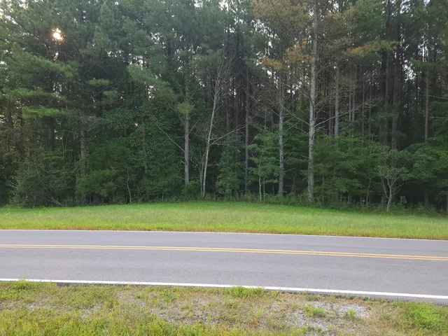 $68,000 | 0 Brown Trace Road, South Pittsburg, TN 37380
