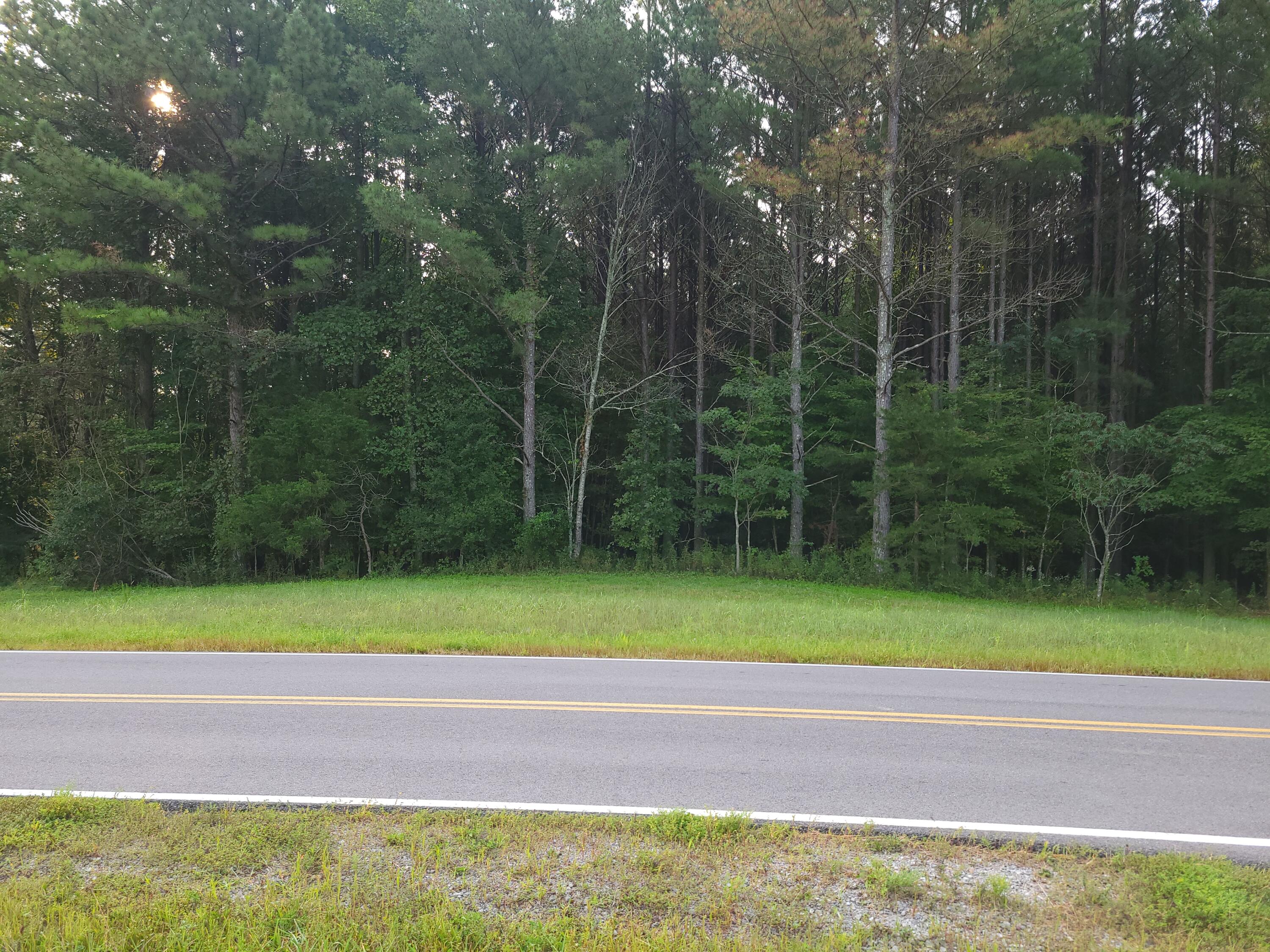 0 Brown Trace Road South Pittsburg, TN 37380 - Photo 3 of 8 20250905_080008