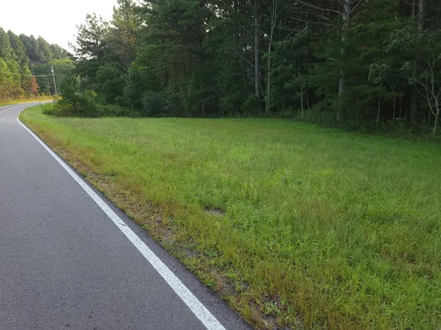 $68,000 | 0 Brown Trace Road, South Pittsburg, TN 37380