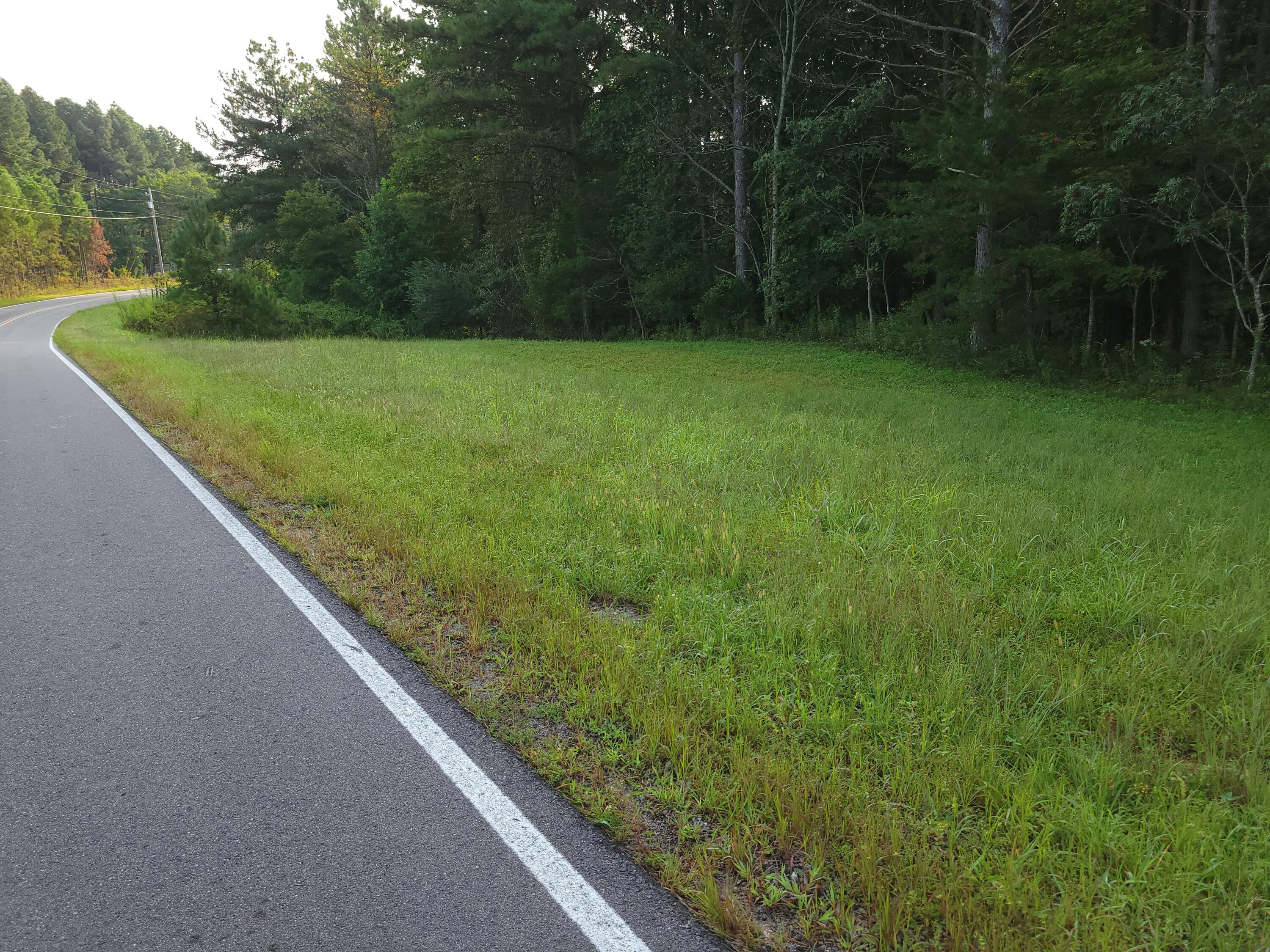 0 Brown Trace Road South Pittsburg, TN 37380 - Photo 4 of 8 20250905_080210