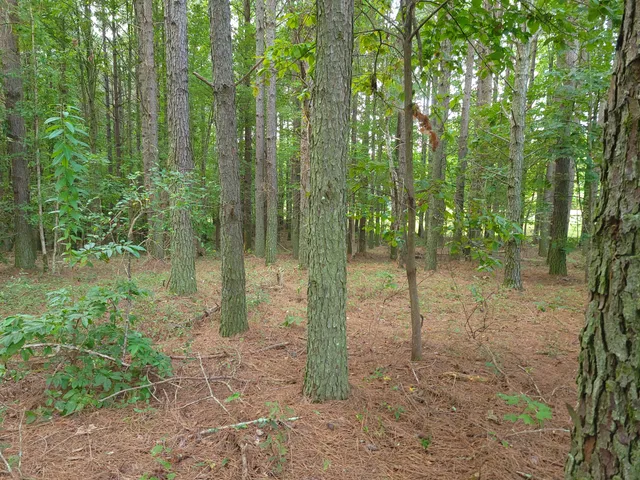 $68,000 | 0 Brown Trace Road, South Pittsburg, TN 37380