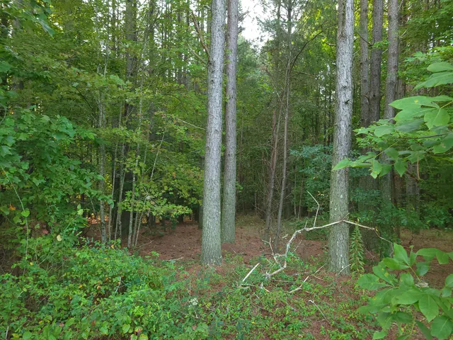 $68,000 | 0 Brown Trace Road, South Pittsburg, TN 37380