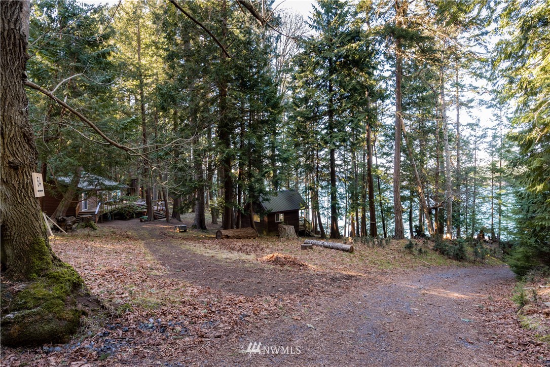 54 West Beach Path Olga, WA 98279 - Photo 28 of 39 a view of a forest with trees in the background