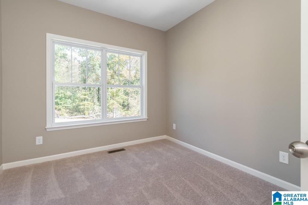 5856 McAshan Ridge Road McCalla, AL 35111 - Photo 20 of 37 Gallery Image 20