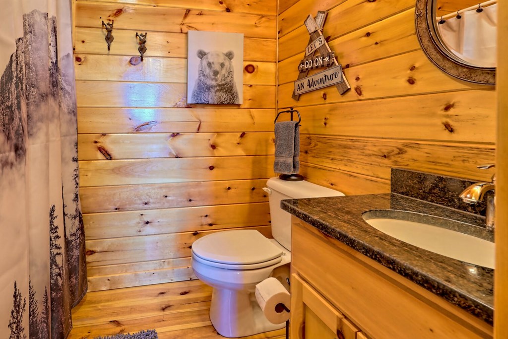 145 Lake Wood Road Murphy, NC 28906 - Photo 32 of 49
