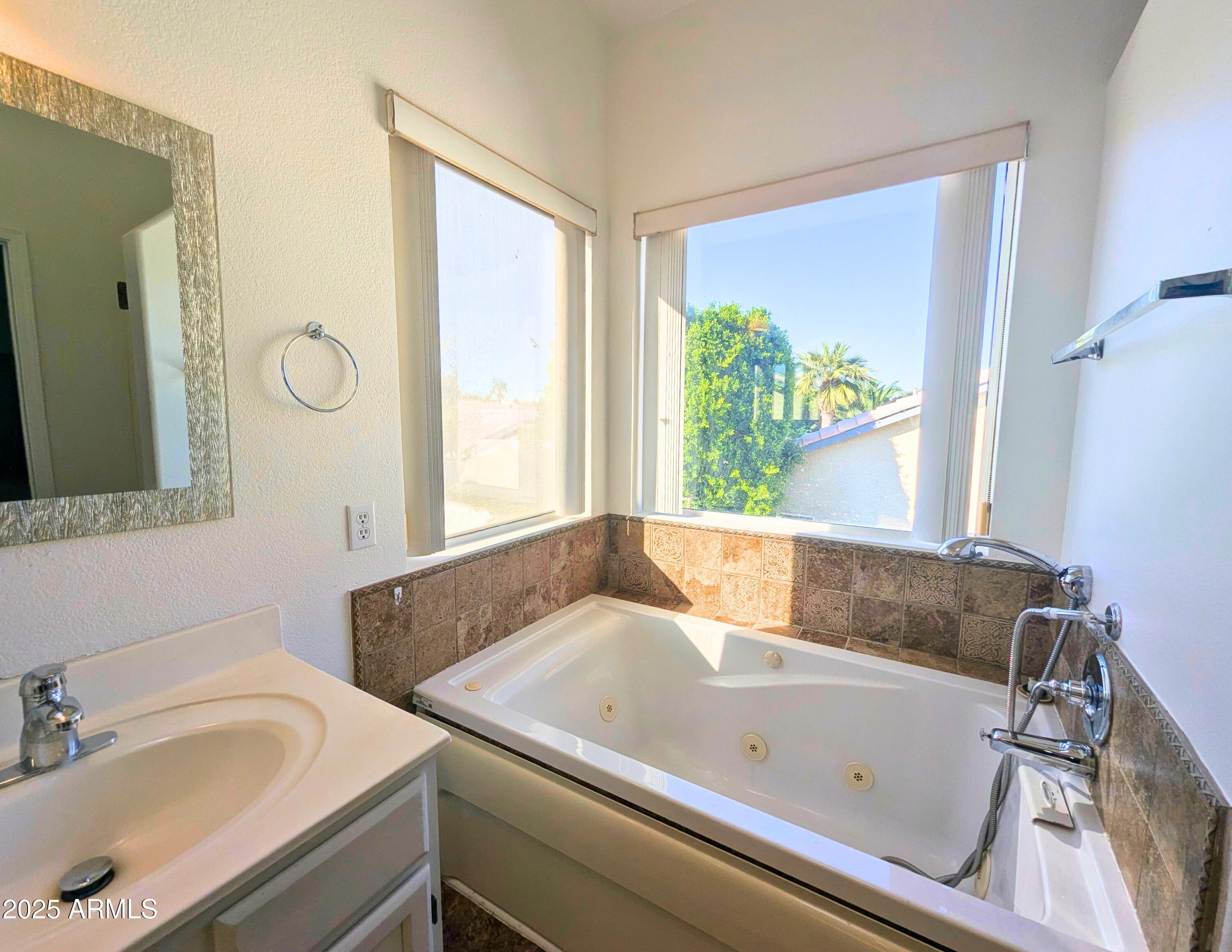 242 South Sycamore Place Chandler, AZ 85224 - Photo 24 of 40 a bathroom with a bathtub sink and window