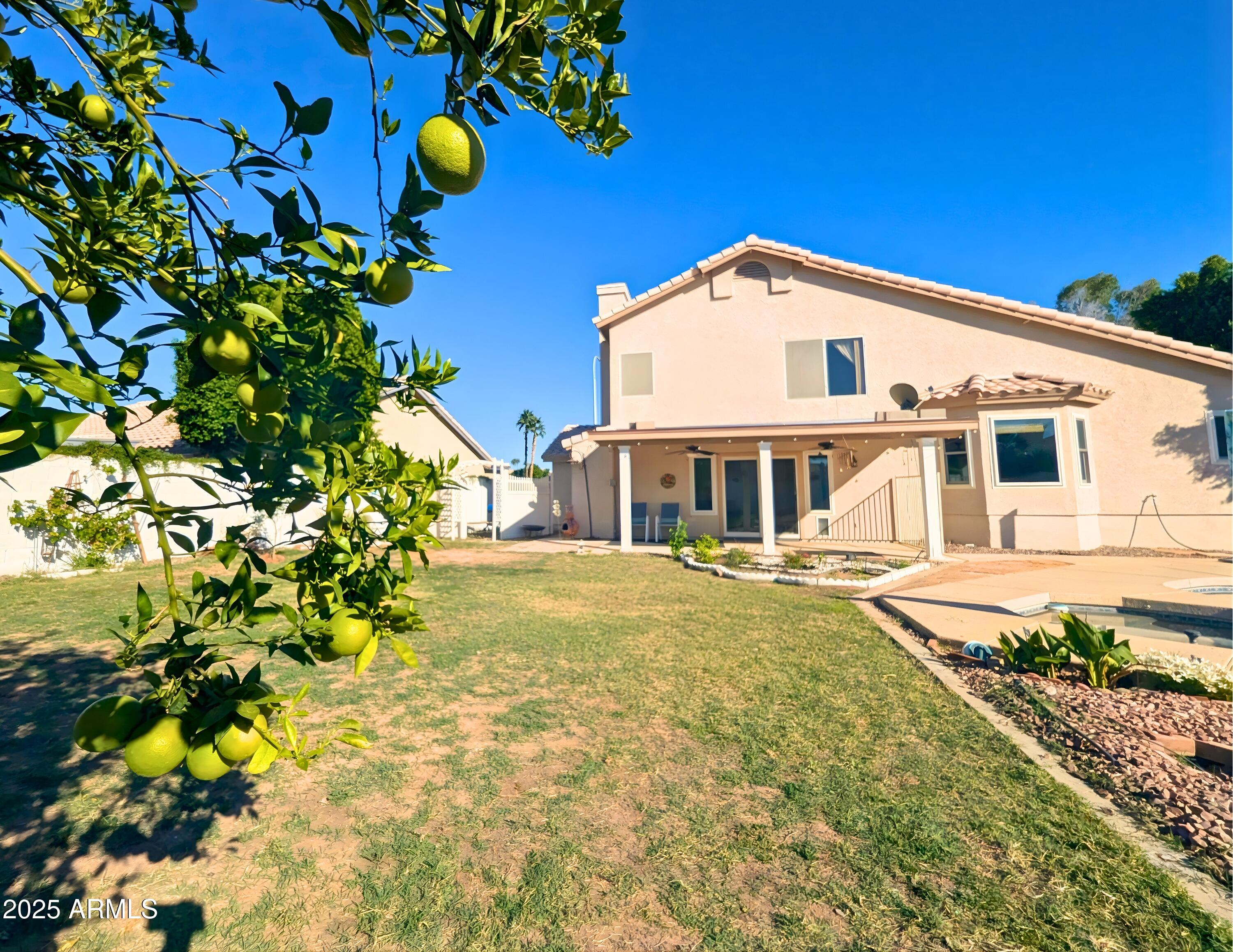 242 South Sycamore Place Chandler, AZ 85224 - Photo 31 of 40 a front view of a house with a big yard and swimming pool