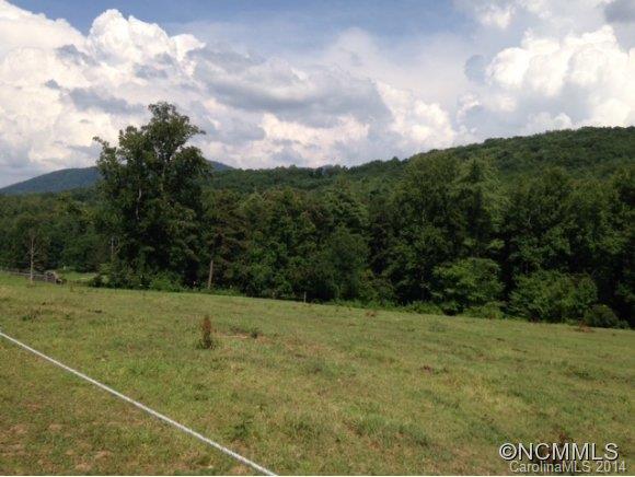451 Morning Star Road Canton, NC 28716 - Photo 3 of 24