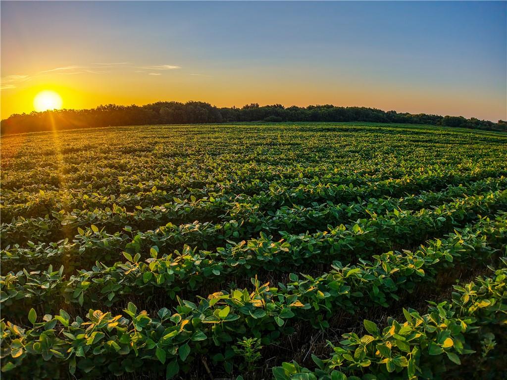 212th Road Winfield, KS 67156 - Photo 20 of 29