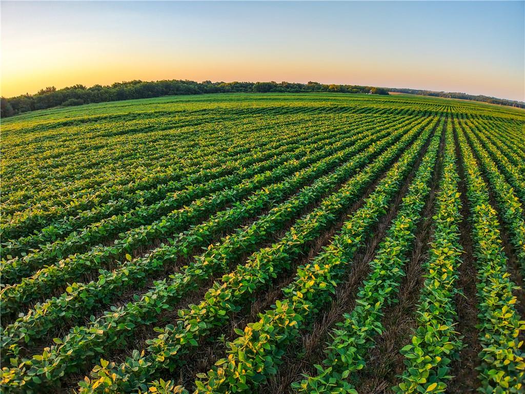 212th Road Winfield, KS 67156 - Photo 7 of 29