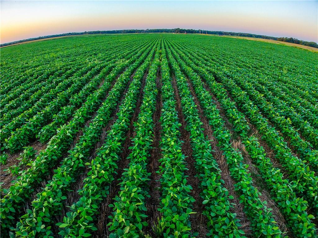 212th Road Winfield, KS 67156 - Photo 8 of 29