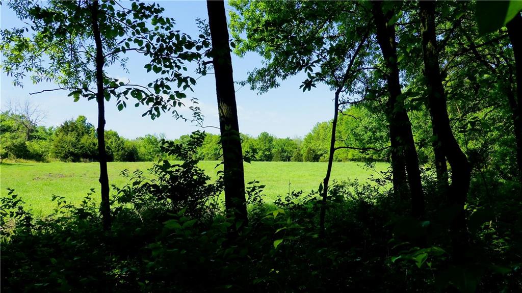 Raytown Road Kansas City, MO 64149 - Photo 55 of 58