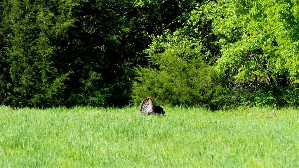 Raytown Road Kansas City, MO 64149 - Photo 56 of 58