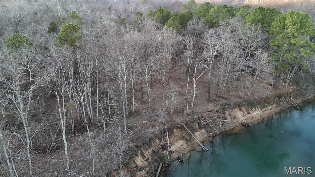 0 River Mill Spring Mill Spring, MO 63952 - Photo 4 of 9