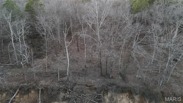 $80,000 | 0 River Mill Spring, Mill Spring, MO 63952