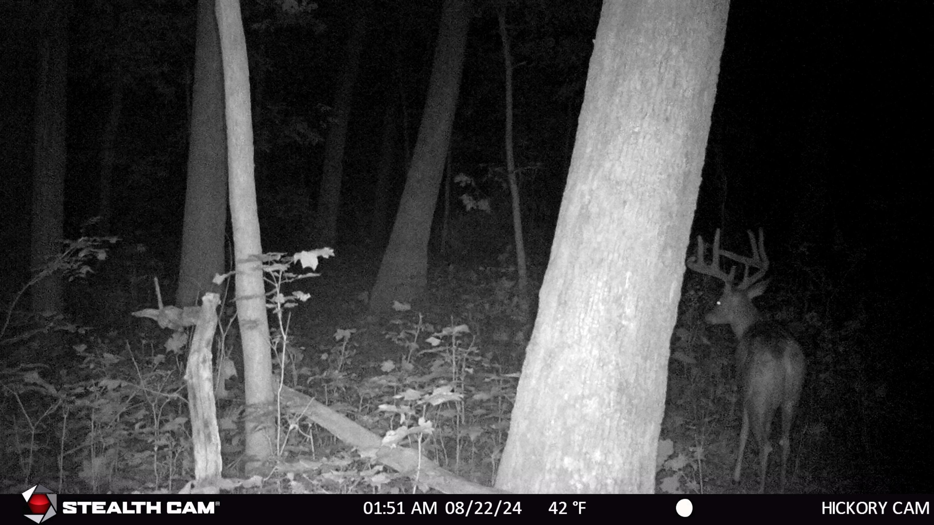E11327 Shady Lane Road Baraboo, WI 53913 - Photo 25 of 50