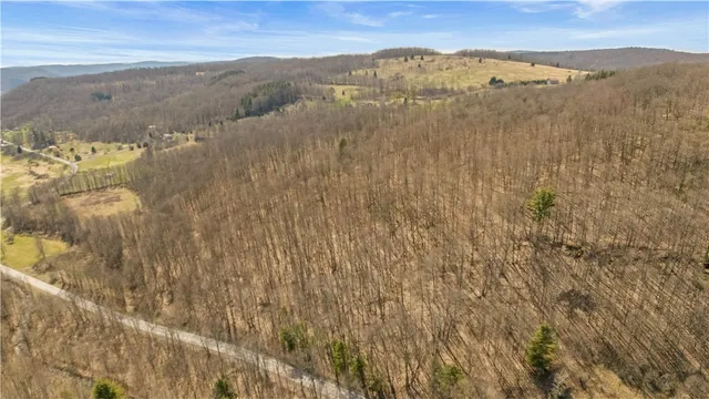 $44,900 | L9.112 Lutheranville Road, East Worcester, NY 12064