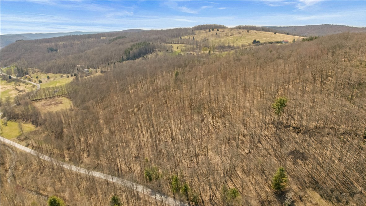 L9.112 Lutheranville Road East Worcester, NY 12064 - Photo 12 of 14