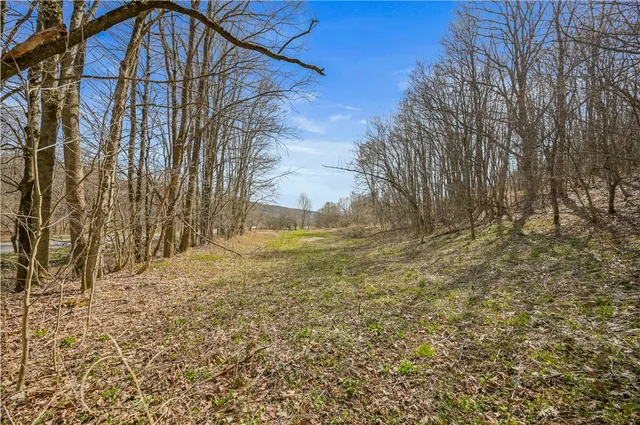 $44,900 | L9.112 Lutheranville Road, East Worcester, NY 12064