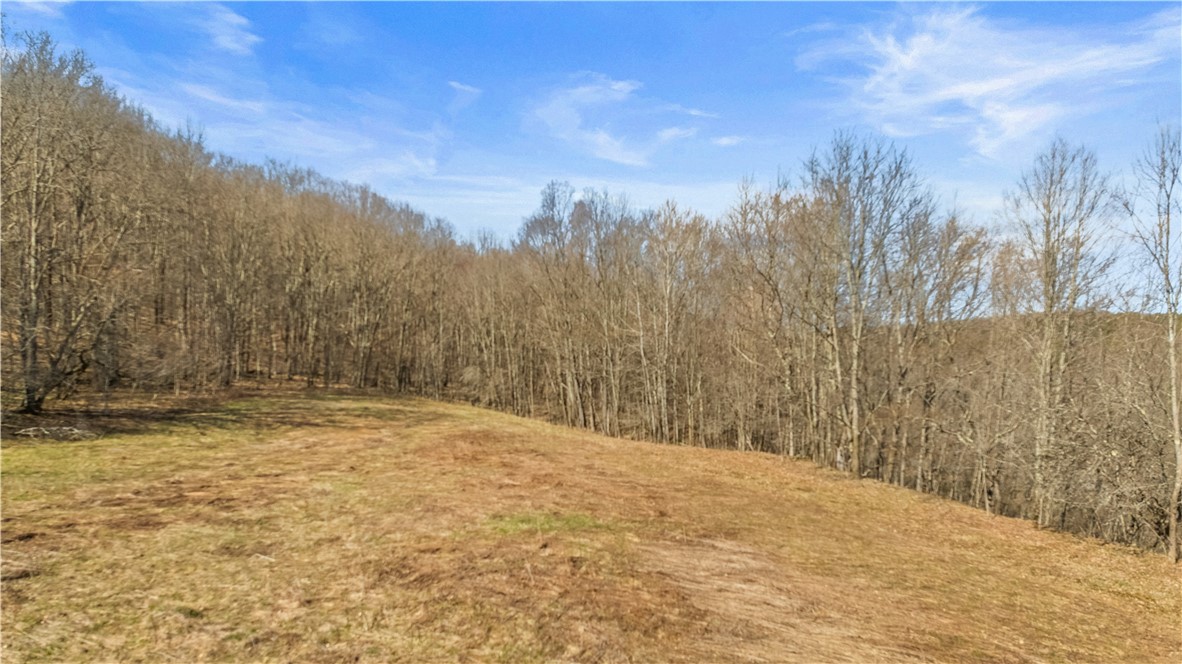 L9.112 Lutheranville Road East Worcester, NY 12064 - Photo 4 of 14