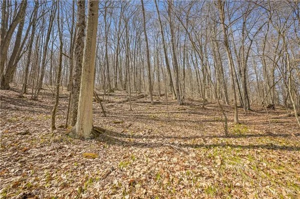 $44,900 | L9.112 Lutheranville Road, East Worcester, NY 12064