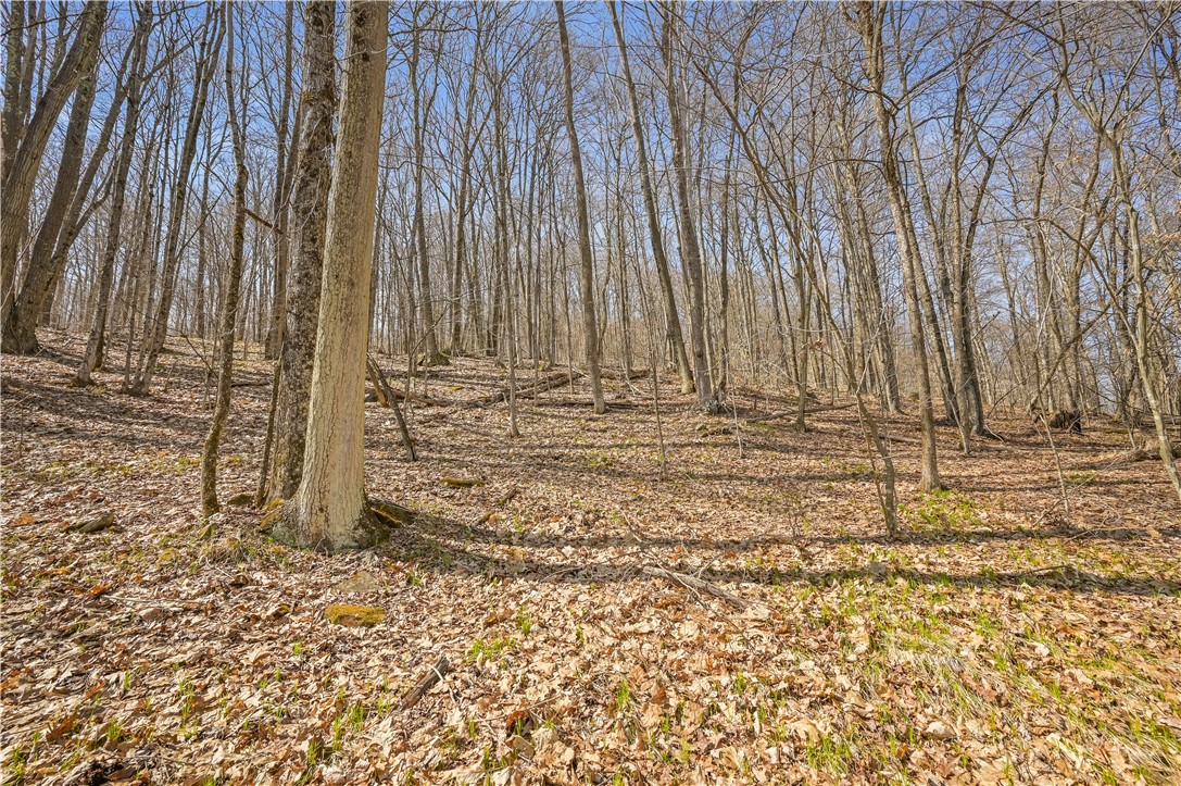 L9.112 Lutheranville Road East Worcester, NY 12064 - Photo 5 of 14