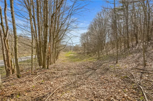 $44,900 | L9.112 Lutheranville Road, East Worcester, NY 12064