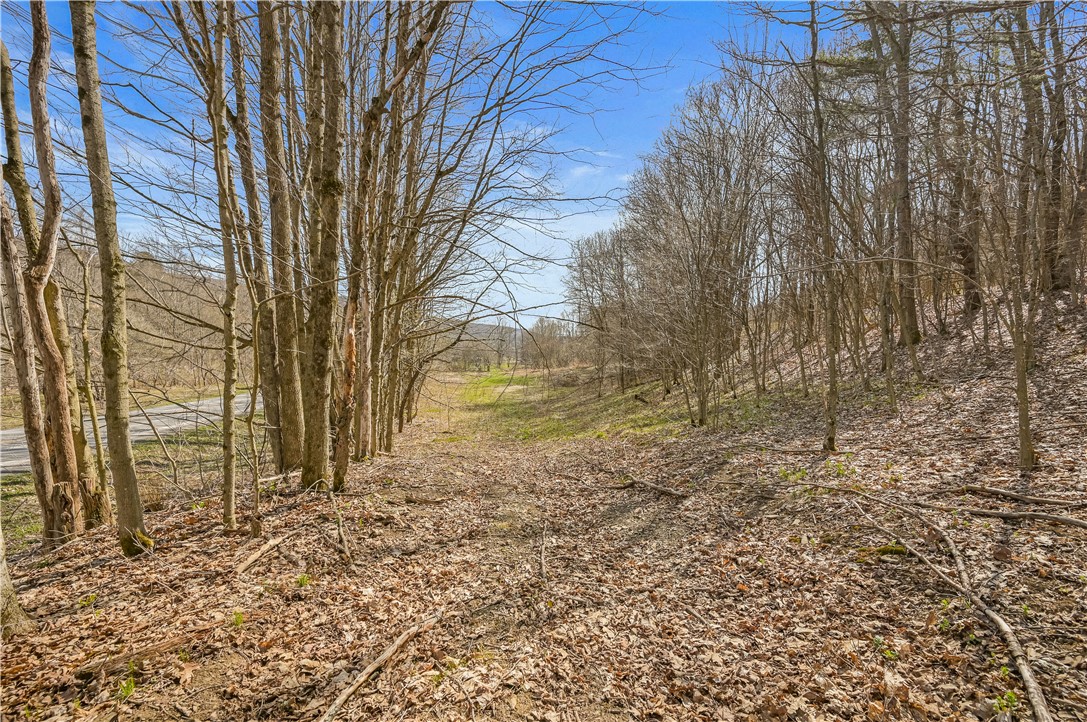 L9.112 Lutheranville Road East Worcester, NY 12064 - Photo 7 of 14