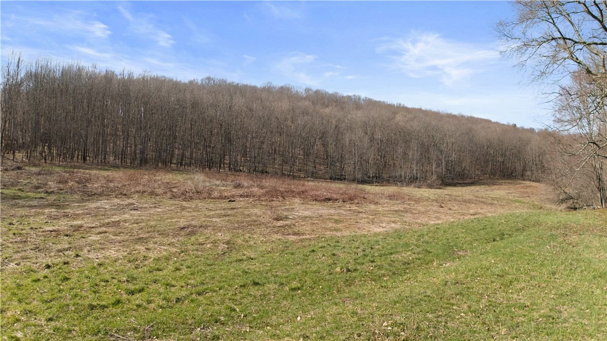 L9.112 Lutheranville Road East Worcester, NY 12064 - Photo 8 of 14