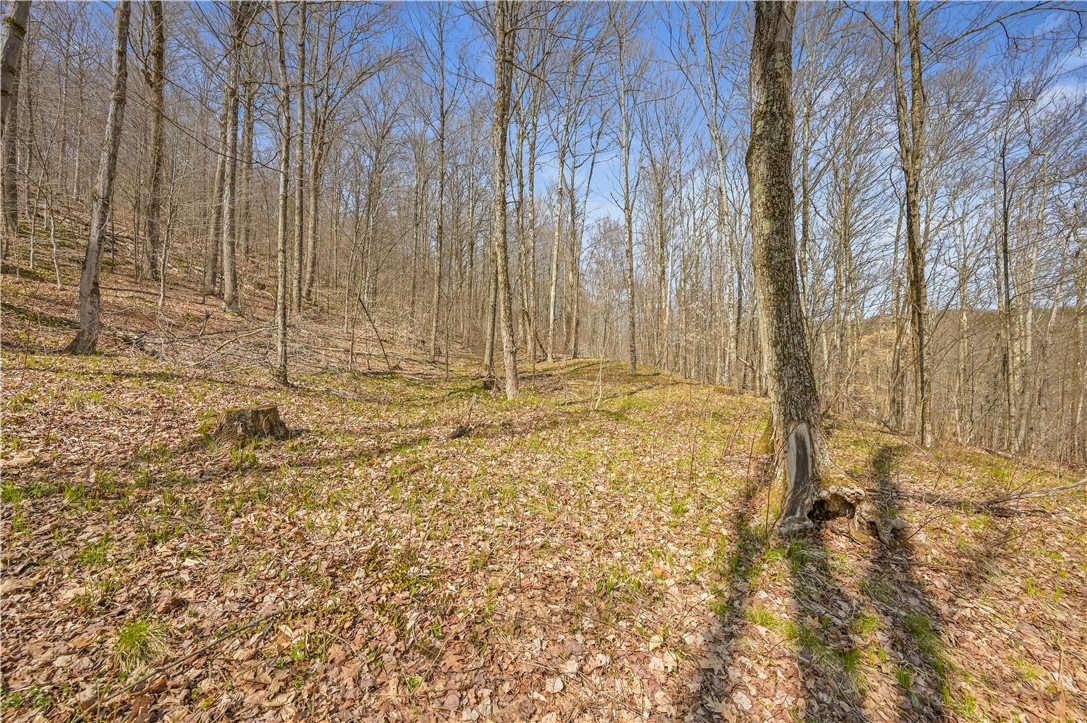 L9.112 Lutheranville Road East Worcester, NY 12064 - Photo 9 of 14