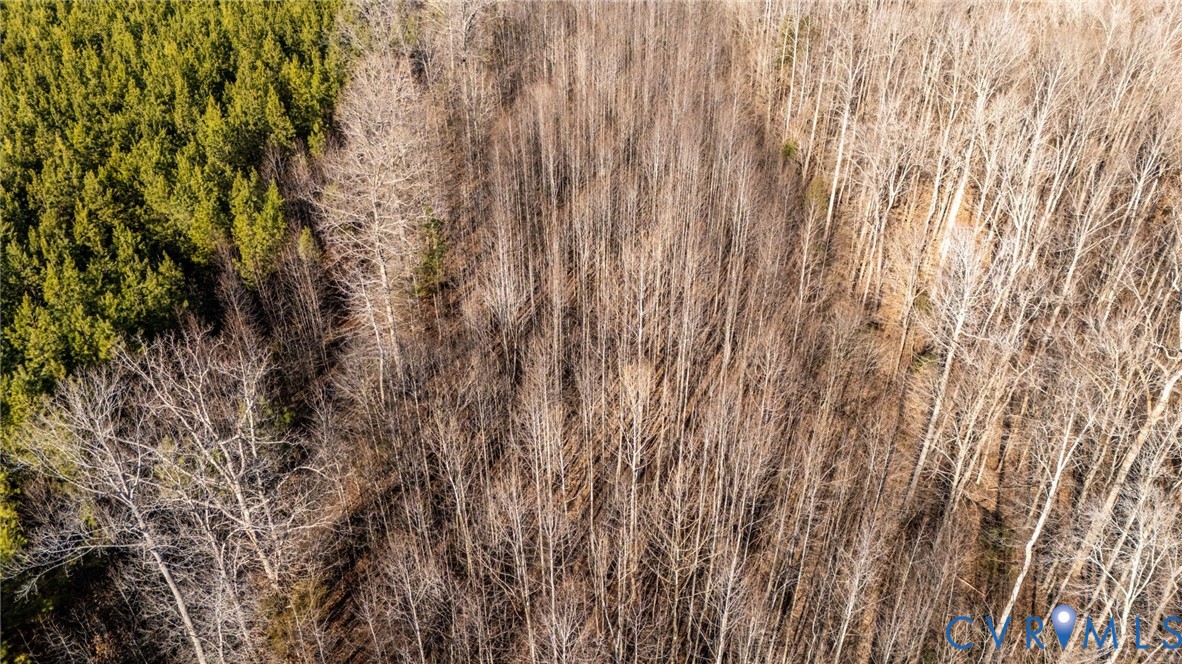 623 Worsham Road Powhatan, VA 23139 - Photo 11 of 13